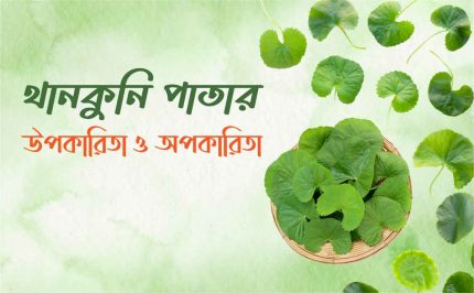 থানকুনি পাতার উপকারিতা ও অপকারিতা 